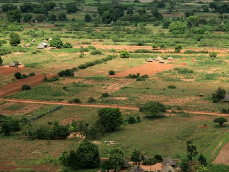 Land