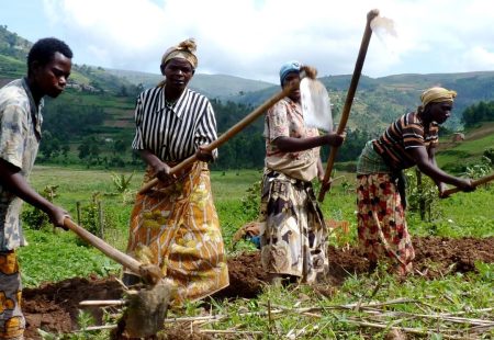 farming