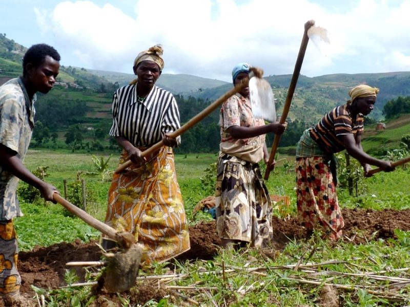 farming